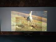 46362880-285453802103335-784126456186798