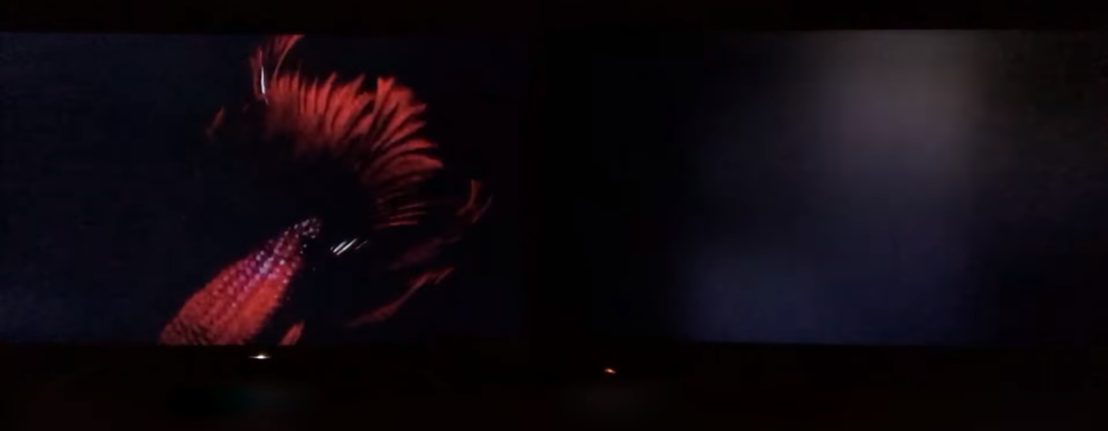 29df807437e83.png