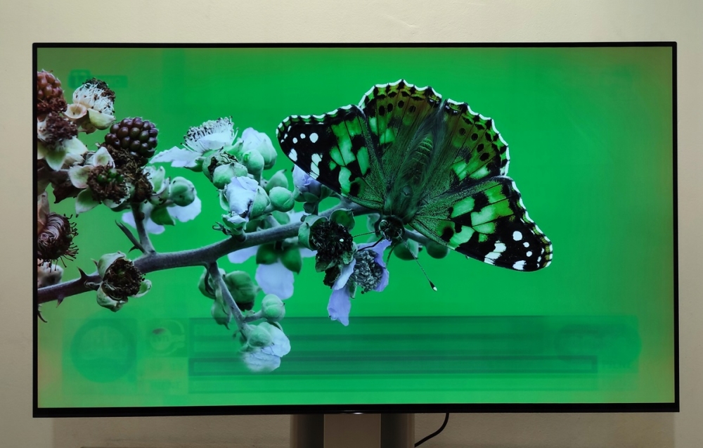 e0c981f0413ba.jpg&key=2a846e959f905fd654