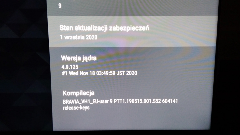 128345929_708182060105543_6991480835144710597_n.jpg