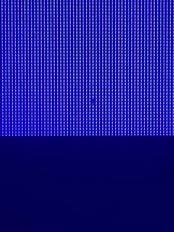 IMG_1143.jpeg