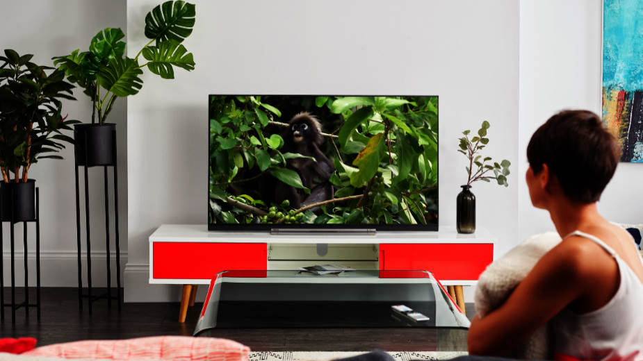 Toshiba UL5 i UL7 – nowe przystępne telewizory 4K z Dolby Vision
