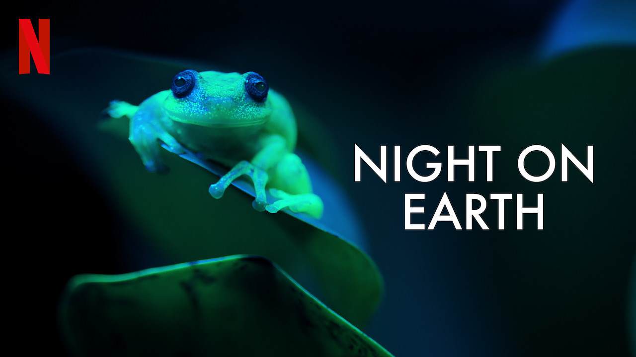 Ziemia nocą – nowy spektakularny dokument Netflix w 4K Dolby Vision