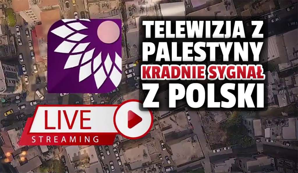 Palestyńska telewizja Fajer TV kradnie sygnał od CANAL+ i Polsatu! Komentarz po arabsku zamiast polskiego. Co zrobią nadawcy?