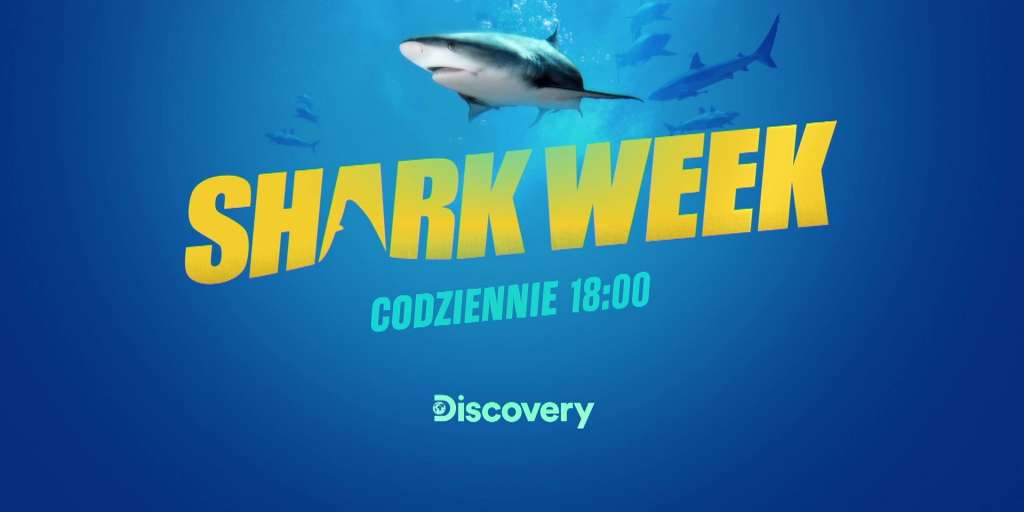 Shark Week, czyli najdłużej trwający telewizyjny maraton w historii amerykańskiej telewizji już na Discovery Channel i w Player!