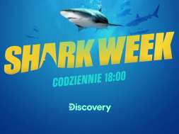 shark week player okładka