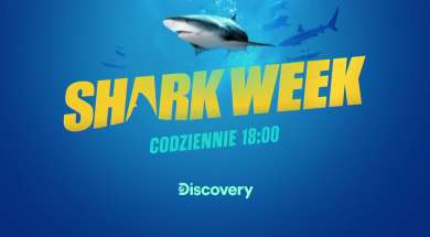 shark week player okładka