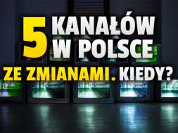 mtv kanały w polsce nowe logotypy okładka