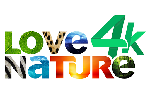 logo love 4k nature