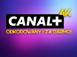 canal+ uhd 4K francja kanał za darmo okładka