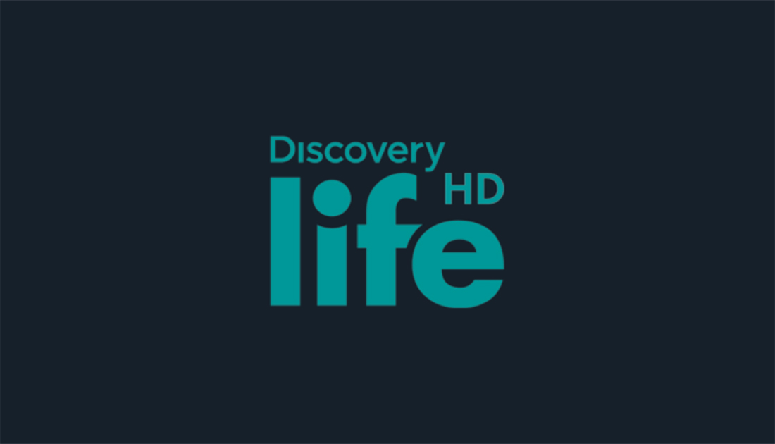 Co oglądać w marcu? Hity na kanale Discovery Life! Gdzie i jak uzyskać dostęp?