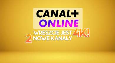 canal+ online nowe kanały 4k okładka