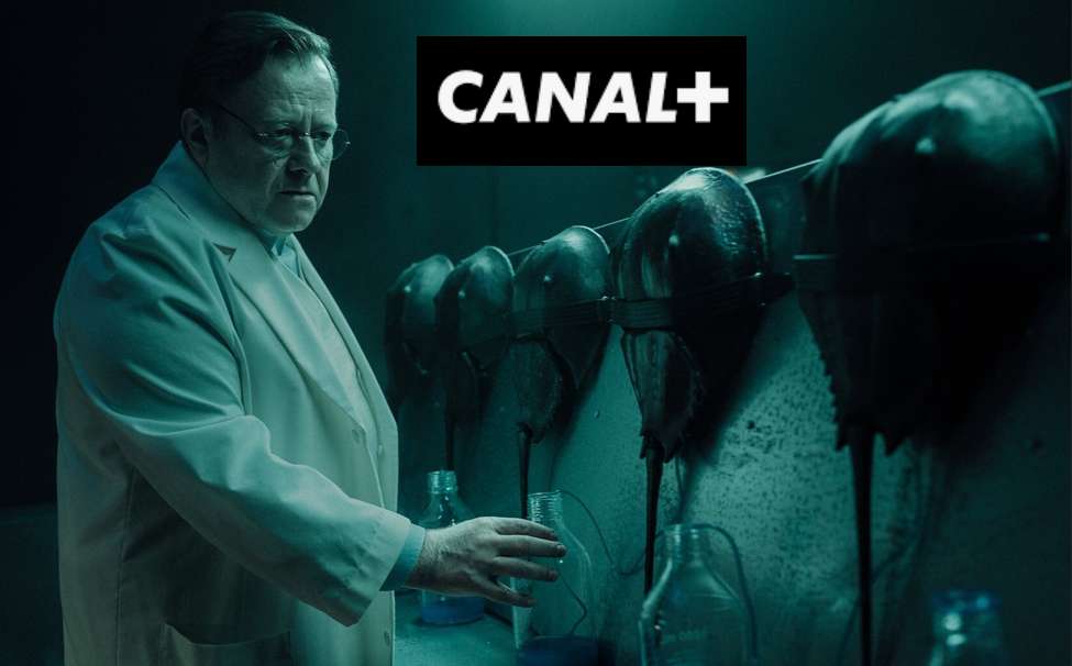 Nowy serial od Canal+! “Atmosfera, którą da się kroić nożem”