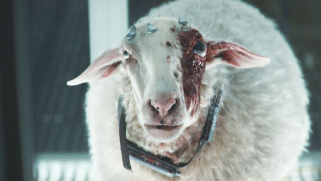 Kadr z serialu "Obcy: Ziemia" na Disney+