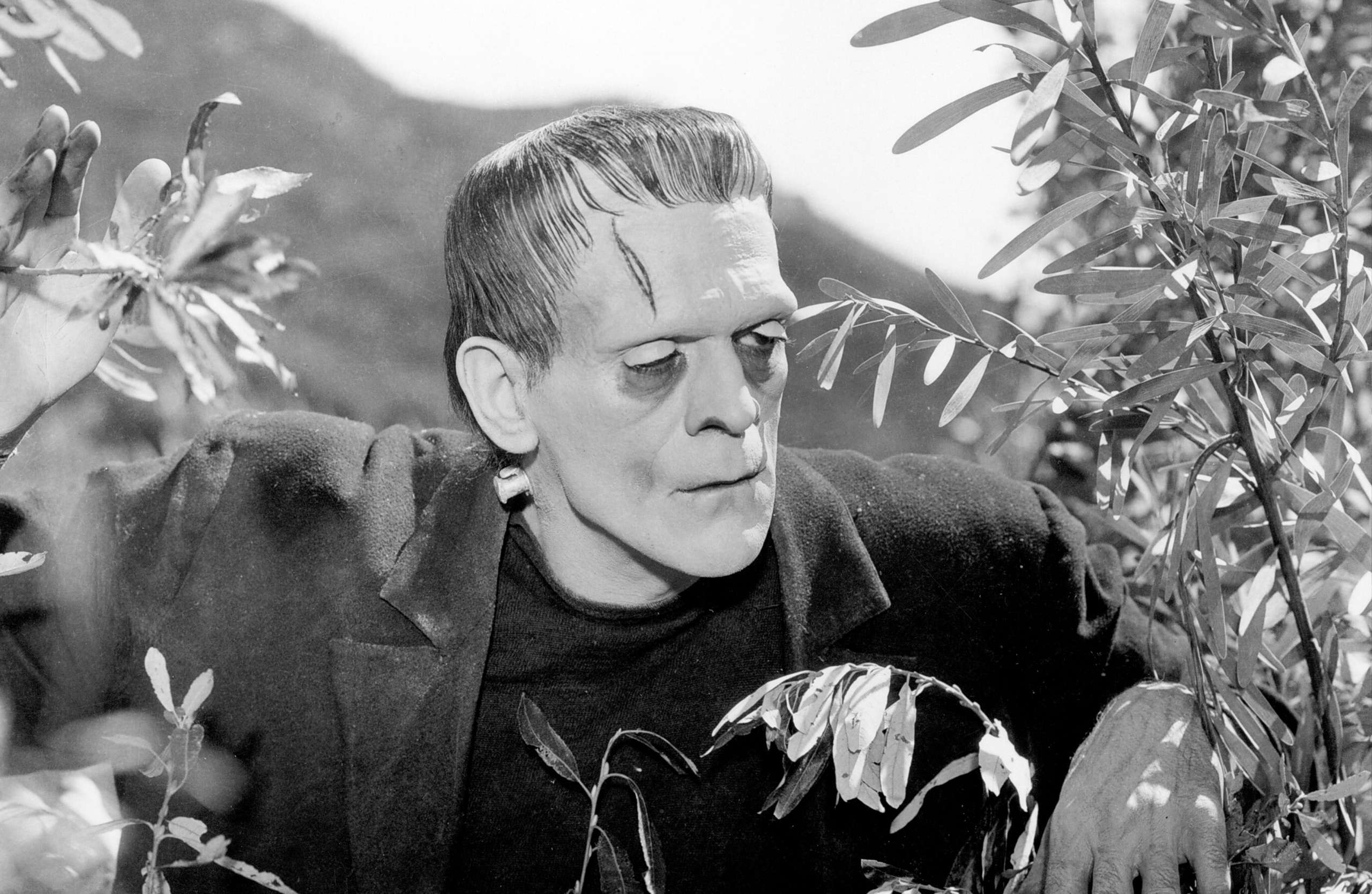 Ożywiania zwłok nigdy za wiele – kolejny “Frankenstein” nadchodzi! Kto tym razem wcieli się w monstrum?