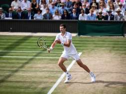 hubert hurkacz na korcie wimbledonu